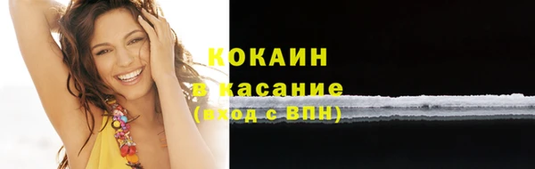 прущие грибы Кстово