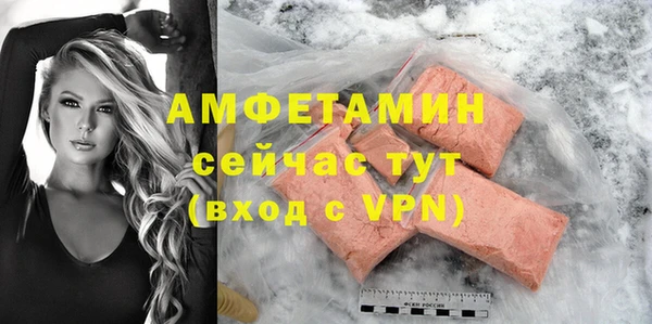 ГАЛЛЮЦИНОГЕННЫЕ ГРИБЫ Строитель