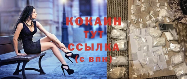 прущие грибы Кстово