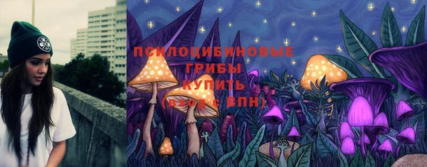 спиды Сосновка
