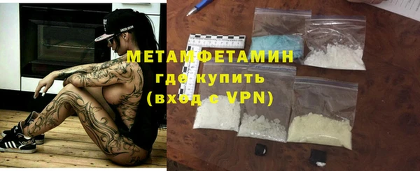 ГАЛЛЮЦИНОГЕННЫЕ ГРИБЫ Строитель